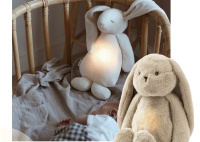Coelho Com Iluminação