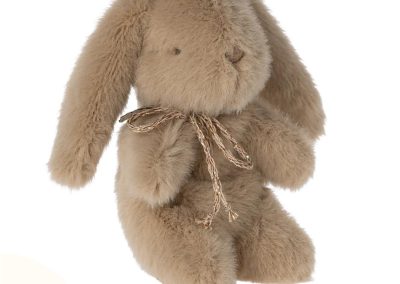 Peluche Coelho