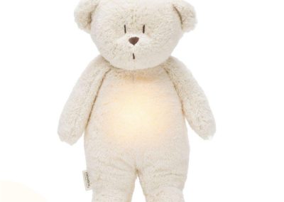 Urso Com Iluminação